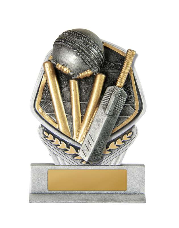 Falcon Tower-Cricket