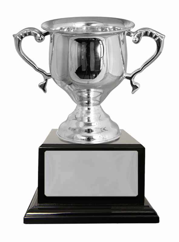 Silver Plated Cup