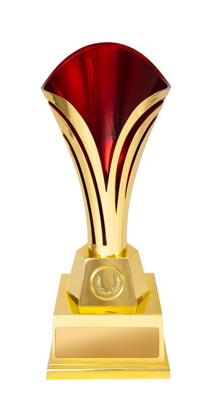 Tulipa Cup
