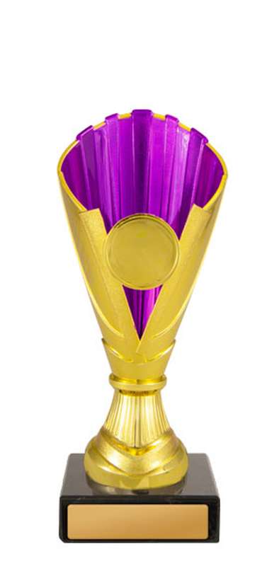 Norwood Cup