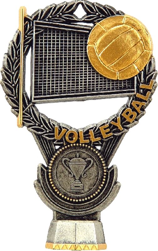 Volleyball Silver