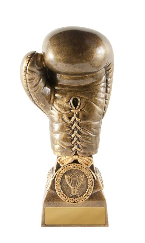 Boxing Glove