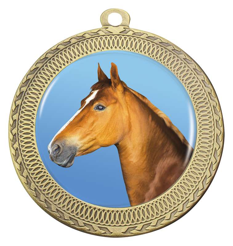 Ovation – Horse
