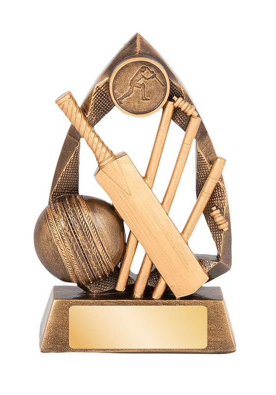 Cricket – 25mm Insert
