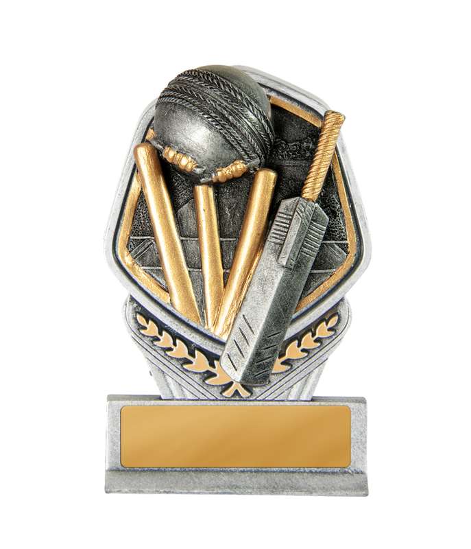 Falcon Tower-Cricket